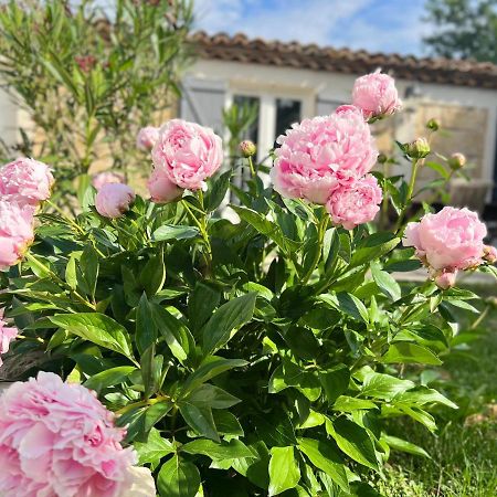 Mas La Farelle Gite, Fitness & Salle De Jeux Gratuite & Spa En Supplement Nimes Exterior foto