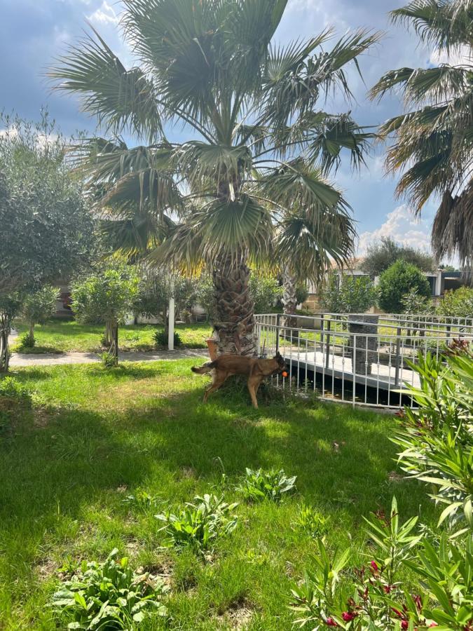 Mas La Farelle Gite, Fitness & Salle De Jeux Gratuite & Spa En Supplement Nimes Exterior foto